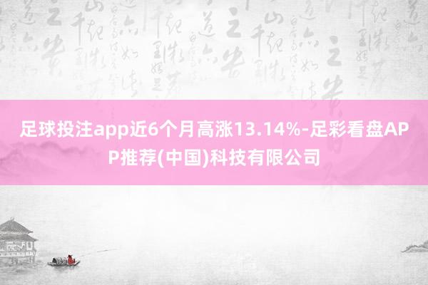 足球投注app近6个月高涨13.14%-足彩看盘APP推荐(中国)科技有限公司