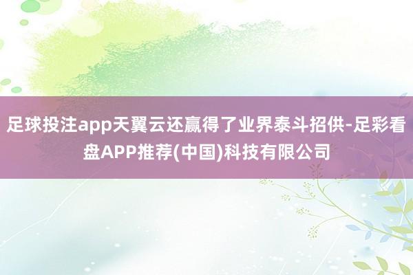 足球投注app天翼云还赢得了业界泰斗招供-足彩看盘APP推荐(中国)科技有限公司