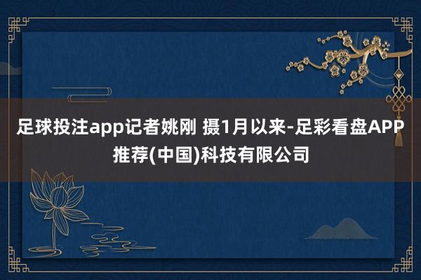 足球投注app记者姚刚 摄1月以来-足彩看盘APP推荐(中国)科技有限公司