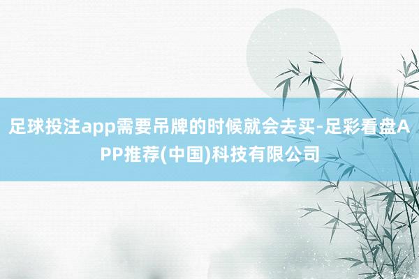 足球投注app需要吊牌的时候就会去买-足彩看盘APP推荐(中国)科技有限公司