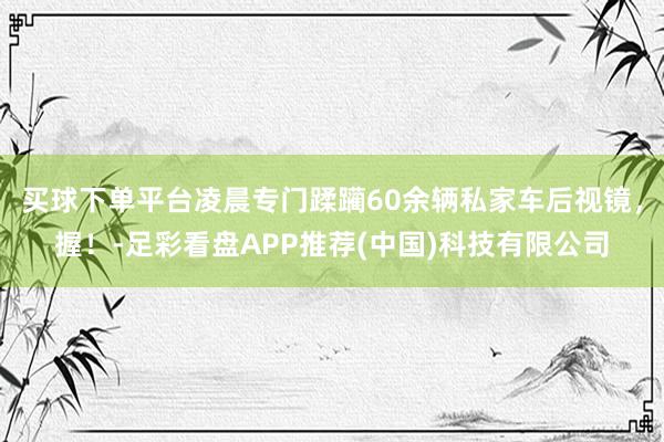 买球下单平台凌晨专门蹂躏60余辆私家车后视镜，握！-足彩看盘APP推荐(中国)科技有限公司